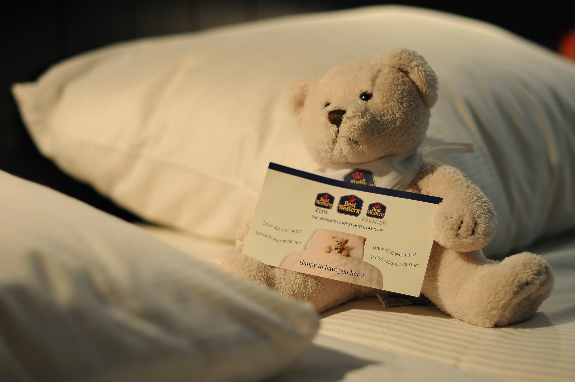Hotel Arlon Hotel 3*